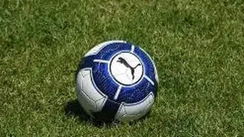 WM完美真人视讯 产品 104916 coi