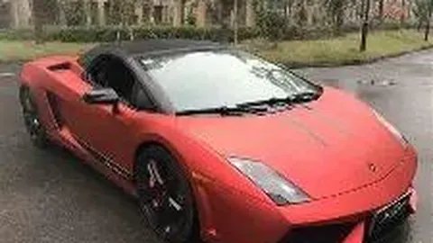 2025-2025上海合作组织主席国工作亮点揭晓，黑龙江六项成果获表彰