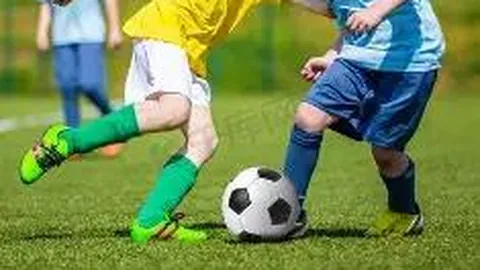 WM完美真人视讯 产品 130228 81w