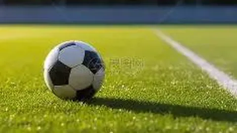 银票银承质押风险控制策略解析