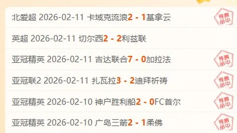 帕尔默送出四助，马杜埃凯戴帽，切尔西6-2狂胜狼队