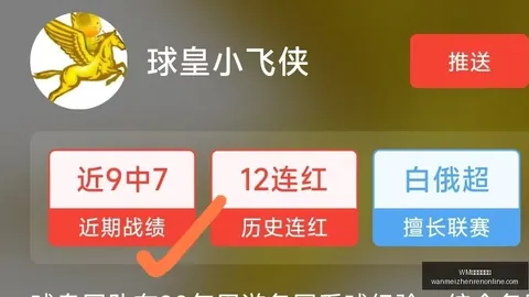 完美真人视，WM完美真人视讯官网，讯 074004